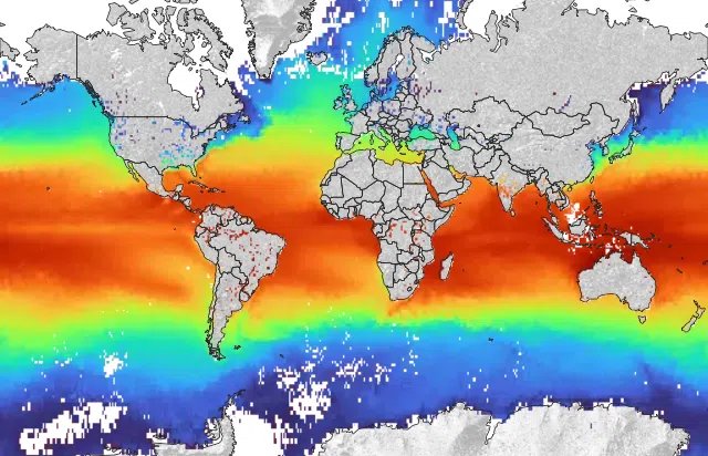 海面水温のマップ